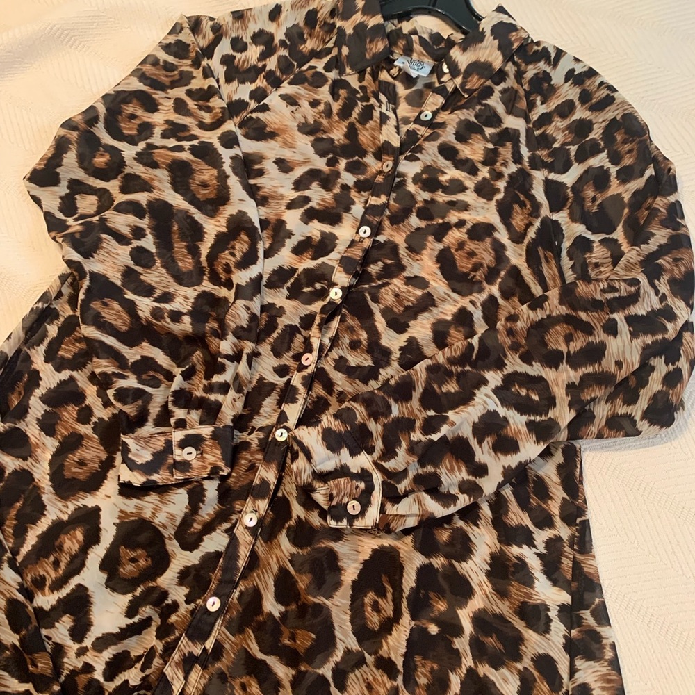Sheer blouse top